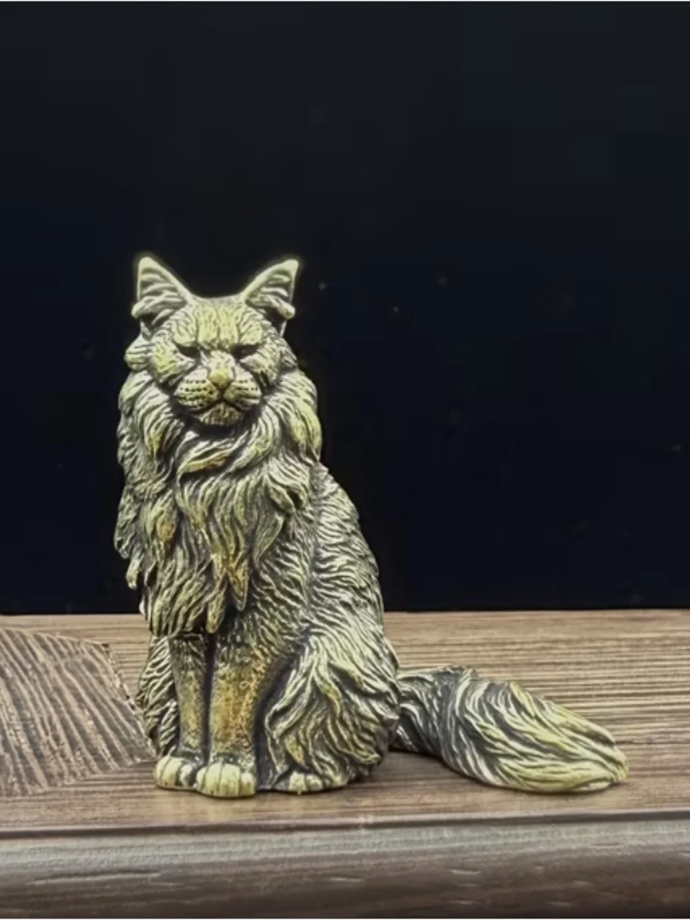 Coon Cat - Picture 3 of 7